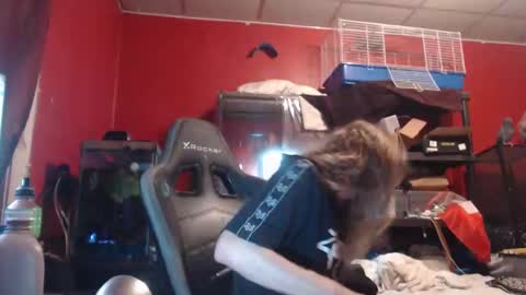 Snapshot of ustogetherliveee chatting on 11/12/25, 06:03 ustogetherliveee online show from 11/12/25, 06:03