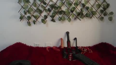 vaiolet online show from 11/10/25, 01:54