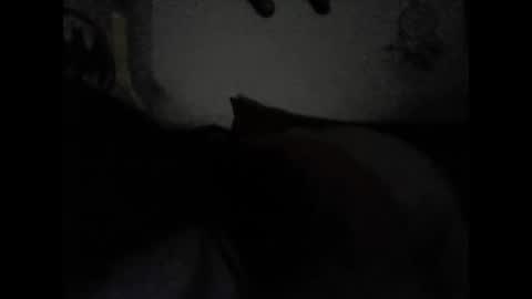 Snapshot of valeria06 chatting on 02/15/25, 06:55 Valeria online show from 02/15/25, 06:55