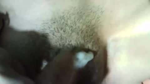 Snapshot of valeria_123 chatting on 12/28/24, 07:00 Vale 123 online show from 12/28/24, 07:00