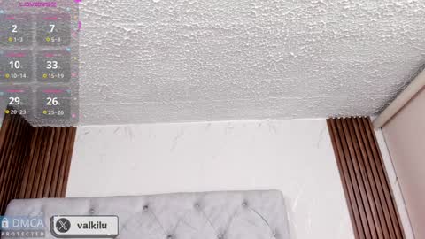 valkilu11 online show from 01/22/25, 12:06