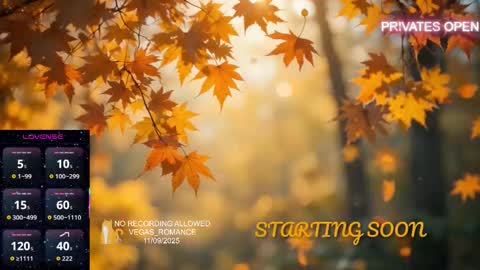 vegas_romance online show from 11/09/25, 11:25