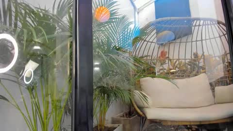 VENUS online show from 11/20/25, 11:43