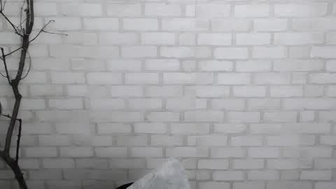 Snapshot of veryveryshygirl chatting on 12/28/24, 03:59 Ana online show from 12/28/24, 03:59