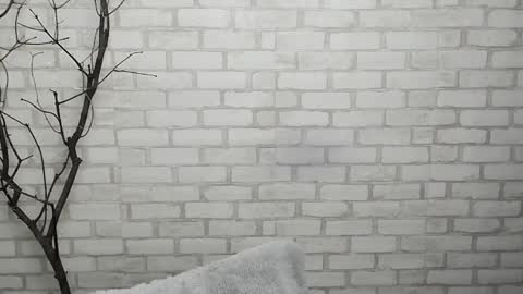 Snapshot of veryveryshygirl chatting on 01/28/25, 12:43 Ana online show from 01/28/25, 12:43