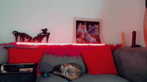 Snapshot of vicky_gill_ chatting on 10/17/25, 07:49 vicky_gill_ online show from 10/17/25, 07:49