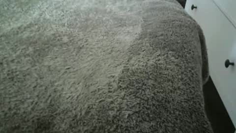 Vidalter online show from 11/20/25, 08:25