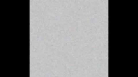 VIOLETA AND MAXX online show from 11/24/25, 11:04