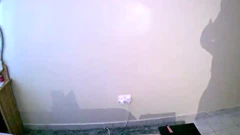 Your Virtual Wife online show from 01/19/25, 01:22