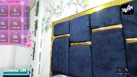 Snapshot of vskayper chatting on 10/26/25, 12:33 skay online show from 10/26/25, 12:33