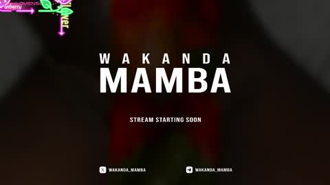 Wakanda Mamba online show from 11/17/25, 03:40