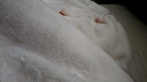 what_whaaat online show from 09/21/25, 05:03