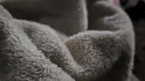 what_whaaat online show from 11/02/25, 09:11