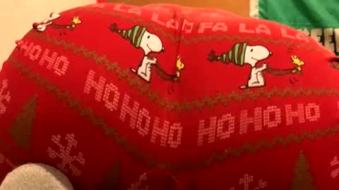 whyou12 online show from 11/21/25, 09:57