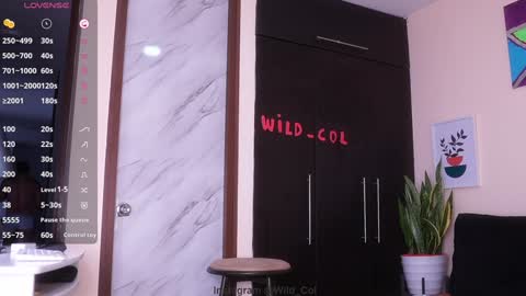 Snapshot of wild_col chatting on 12/17/24, 12:33 wild_col online show from 12/17/24, 12:33