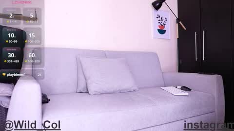 Snapshot of wild_col chatting on 09/16/25, 11:28 wild_col online show from 09/16/25, 11:28