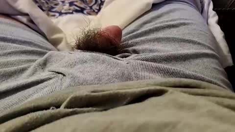 Wild-at-heart online show from 12/22/24, 02:49