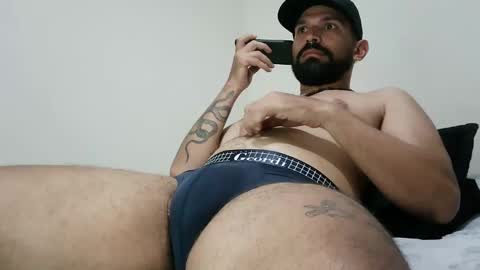 Snapshot of wilder_grey chatting on 01/23/25, 01:41 Wilder Grey online show from 01/23/25, 01:41