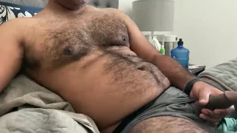 wildhungry online show from 02/18/25, 07:30