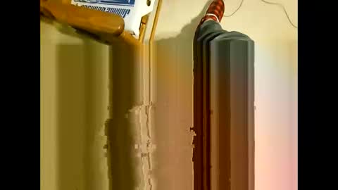 wildman2900 online show from 12/29/24, 03:24