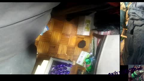 Snapshot of willisgod666 chatting on 12/10/24, 05:28 willisgod666 online show from 12/10/24, 05:28