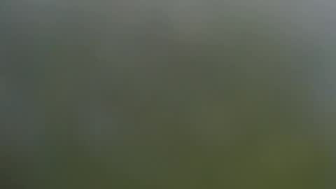 Snapshot of wisanonymousman chatting on 11/11/25, 06:08 Wisa Randy online show from 11/11/25, 06:08