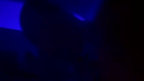 WolfX online show from 12/15/24, 05:13