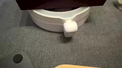 WolfX online show from 09/17/25, 11:39