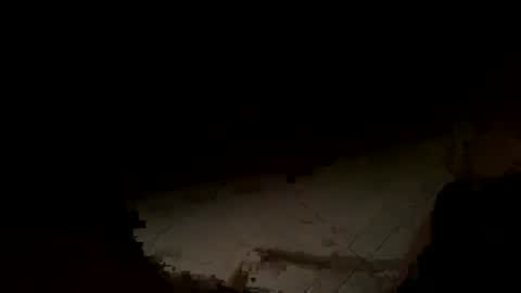 WolfX online show from 11/14/25, 02:21