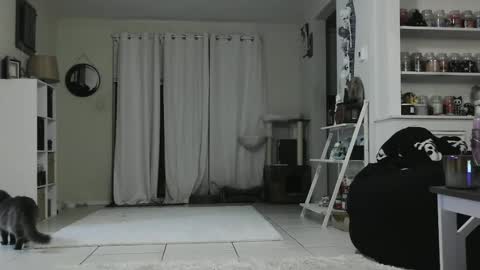 Crystal Lake online show from 01/03/25, 05:28