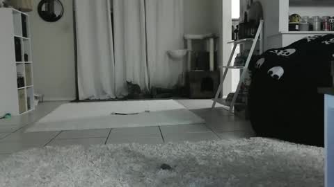 Crystal Lake online show from 01/12/25, 09:08