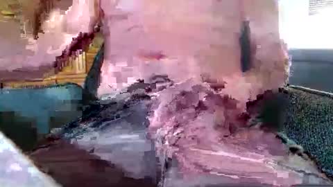 Snapshot of xmen43hot chatting on 09/18/25, 08:49 xmen43hot online show from 09/18/25, 08:49