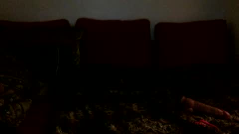 Snapshot of xoviolettt chatting on 02/16/25, 06:43 3 online show from 02/16/25, 06:43