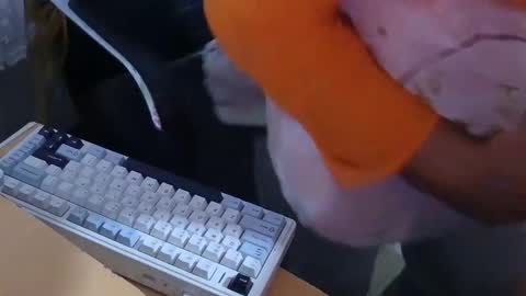 xrokettt online show from 11/15/25, 07:54