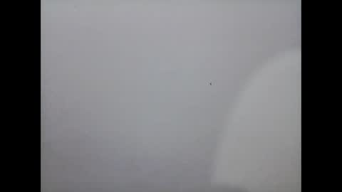 Mariel online show from 12/02/24, 12:07