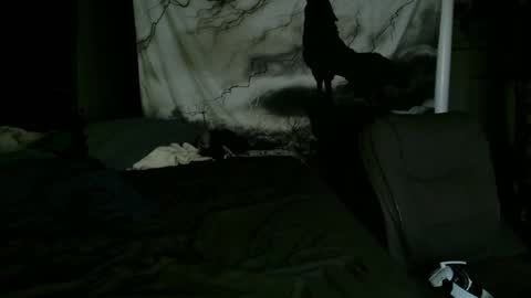 Snapshot of xxxjrstrokesxxx chatting on 01/25/25, 02:15 xxxjrstrokesxxx online show from 01/25/25, 02:15