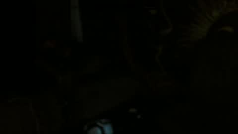 Snapshot of xxxjrstrokesxxx chatting on 02/11/25, 01:52 xxxjrstrokesxxx online show from 02/11/25, 01:52