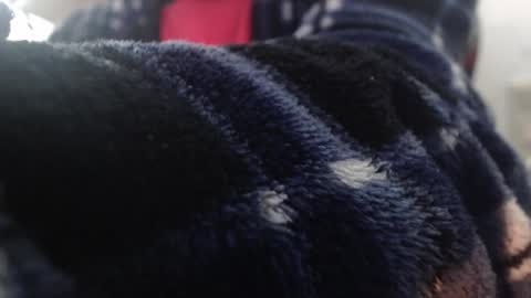 Snapshot of xxxking89 chatting on 02/01/25, 04:00 xxxking89 online show from 02/01/25, 04:00