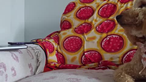 TonyDoesMiami online show from 01/26/25, 05:13