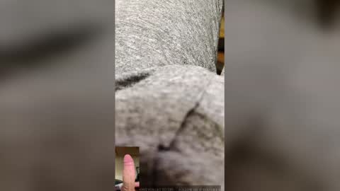 xxxxxxxxxxxxxx_ online show from 12/05/25, 08:05