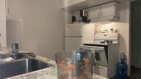 Xylea Luv online show from 02/22/25, 04:29