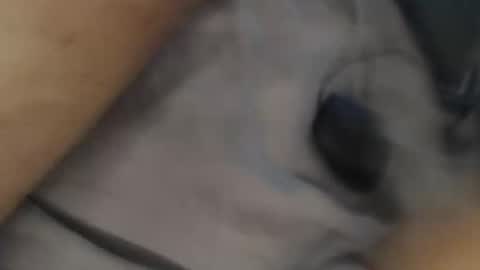 Snapshot of yallayalla1806 chatting on 11/18/25, 02:17 yallayalla1806 online show from 11/18/25, 02:17