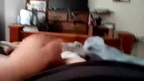 Snapshot of yeet3244 chatting on 09/18/25, 06:48 yeet3244 online show from 09/18/25, 06:48