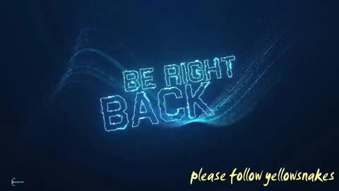 .     y e l l o w s n a k e s       . online show from 10/10/25, 07:18