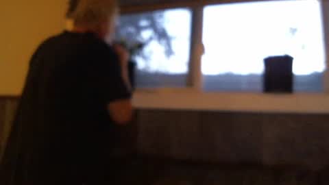 .     y e l l o w s n a k e s       . online show from 10/19/25, 12:44