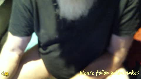 .     y e l l o w s n a k e s       . online show from 10/20/25, 03:51