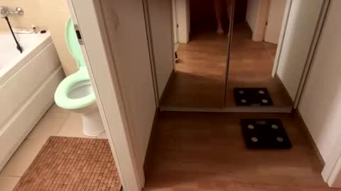 Snapshot of yonise909383 chatting on 02/03/25, 12:36 yonise909383 online show from 02/03/25, 12:36