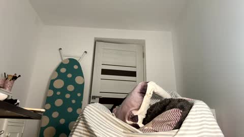 private on 18 per minute start private 500 tokensOnlyfans  online show from 01/09/25, 08:44