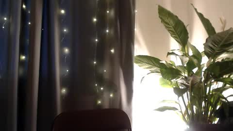 YourDalia online show from 11/13/25, 12:26