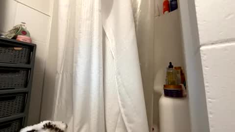 Snapshot of yourfavouritemermaid chatting on 11/21/25, 07:45 Eastcoast mermaid online show from 11/21/25, 07:45